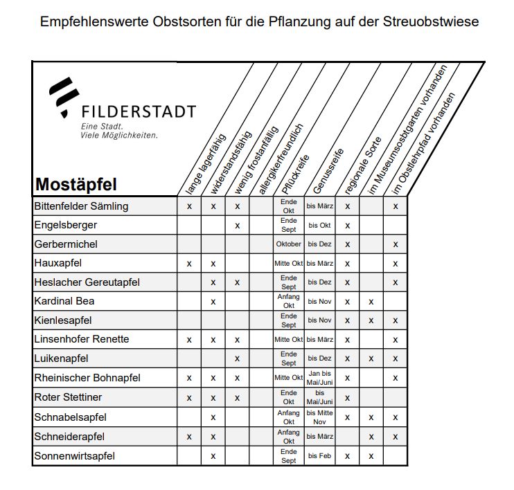 Mostäpfel