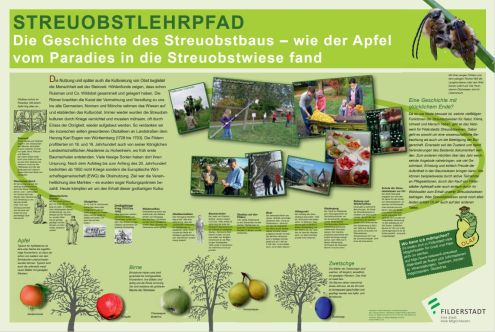 OLAF - Tafel 2