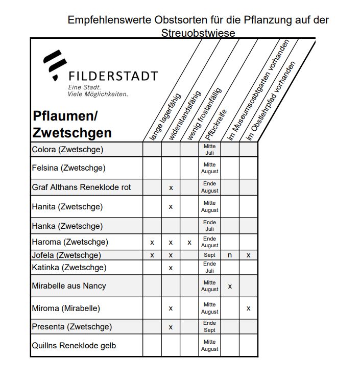 Pflaumen Zwetschgen